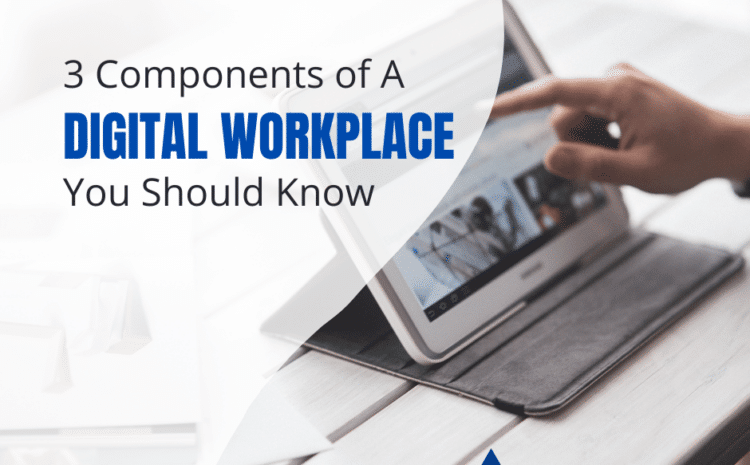 3 Components of a Digital Workplace You Should Know